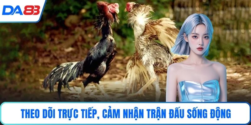 Theo dõi trực tiếp, cảm nhận trận đấu sống động